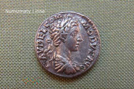 denar Kommodusa denar Kommodusa 77 (MARCUS AURELIUS COMMODUS ANTONINUS) panow.