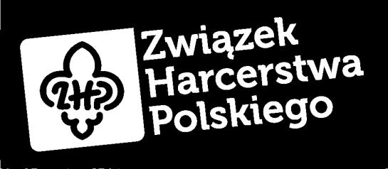 Uczestnicy od lat 10, członkowie Drużyny Sztabowej, instruktorzy i seniorzy w roli goście. Zamek Kamieniec w Odrzykoniu, Podkarpackie, Polska, zakończenie tras złazowych 23-25 czerwca 2018 r.