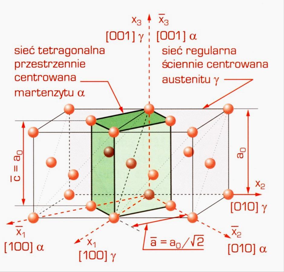 W wyniku przemiany austenitu o sieci regularnie ściennie centrowanej