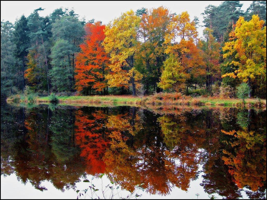 Jesień to pora roku, która w sposób szczególny sprzyja zadumie, refleksji nad ludzkim losem, przemijaniem.