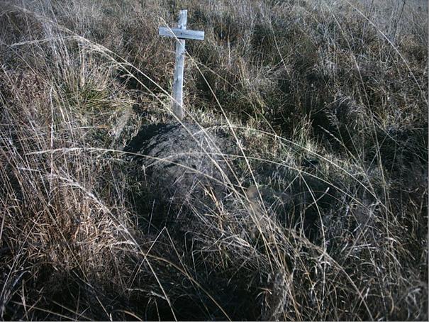 Mogiła zamordowanego Wojciecha Lecha Minęło koło tygodnia od tej zbrodni. Lech Wojciech odważył się odwiedzić pogorzelisko.