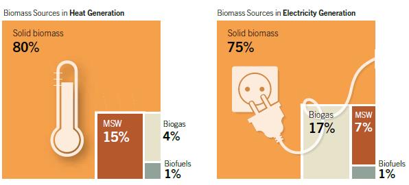 Udział biomasy w produkcji energii i ciepła na