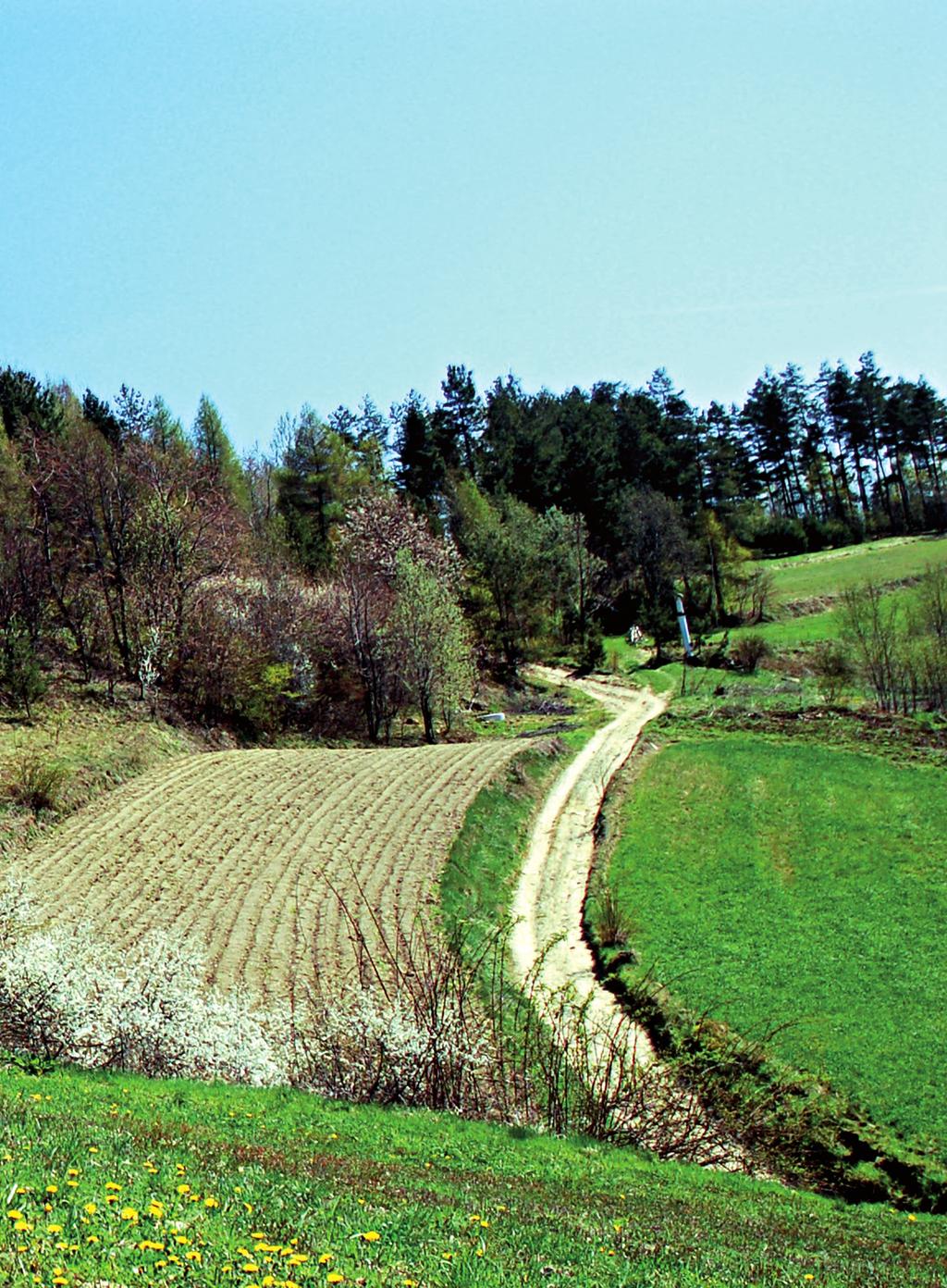 KARNIOWICE MODR Małopolski Ośrodek