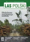 Najstarsze, branżowe czasopismo leśne ukazujące się od 1921 roku, profesjonalne źródło informacji na temat leśnictwa, ochrony i użytkowania lasu, technologii prac leśnych oraz szkółkarskich.