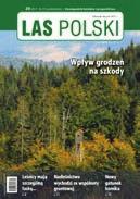 Tematyka: aktualności z branży leśnej, informacje o ochronie i użytkowaniu lasu, edukacji leśnej, opisy najnowszych technologii prac leśnych i szkółkarskich, porady dla właścicieli i pracowników firm