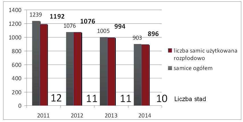 Średnia liczba samic w regionie kujawsko-pomorskim Średnia liczba samic użytkowana rozpłodowo i liczba odchowanych młodych w regionie kujawsko-pomorskim Od 1 stycznia 2013 r.
