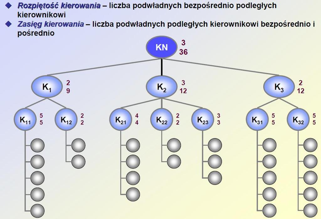 Rozpiętość i zasięg kierowania