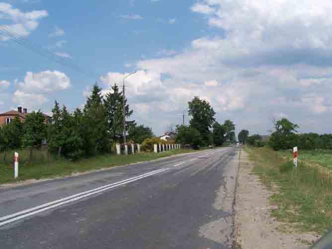 Na odcinku około 3 km (tj od km od km 43+040 do km 46+165), istniejąca droga przecina Obszar Chronionego Krajobrazu Dolina rzeki Pilicy i Drzewiczki PoniŜej przedstawiono zdjęcia przedstawiające