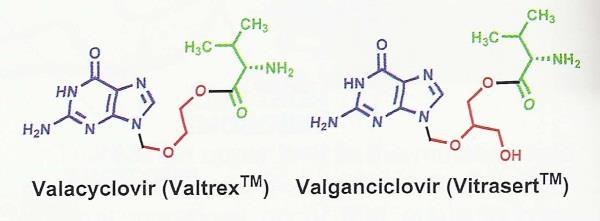 Acyklowir (Zovirax ) Przeciwko