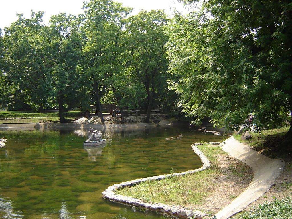 Staw Staw w Ogrodzie Krasińskich