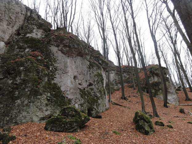 Zdjęcie 13,14. Ruiny zamku Ostrężnik oraz lasy w Złotym Potoku. Źródło: zasoby własne (październik 2013).
