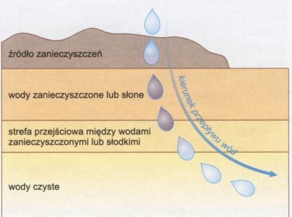 Ze względu na rodzaj skał w których wody występują, wody podziemne dzieli się na: 1. wody warstwowe klasyfikowane często w swoim obrębie ze względu na głębokość zalegania (będzie to warunkowało, m.in.