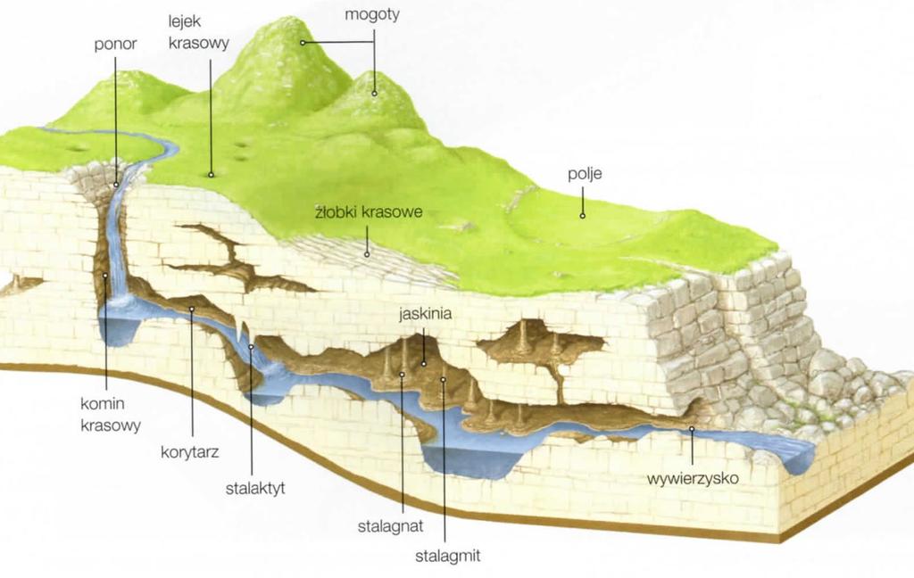 Wody krasowe towarzyszą terenom krasowym, na których zalegają podlegające rozpuszczaniu skały, np. wapienie, dolomity i sole. Powstające w ich obrębie szczeliny mają stosunkowo duże rozmiary.