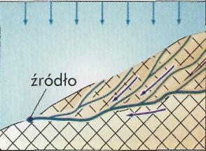 Źródła szczelinowe: występują w miejscach, w których z nieprzepuszczalnych, litych skał (magmowych, metamorficznych i osadowych) wydostaje się