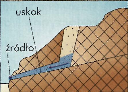 Źródła uskokowe (dyslokacyjne) : są efektem ruchów tektonicznych, woda wydostaje się wzdłuż uskoku