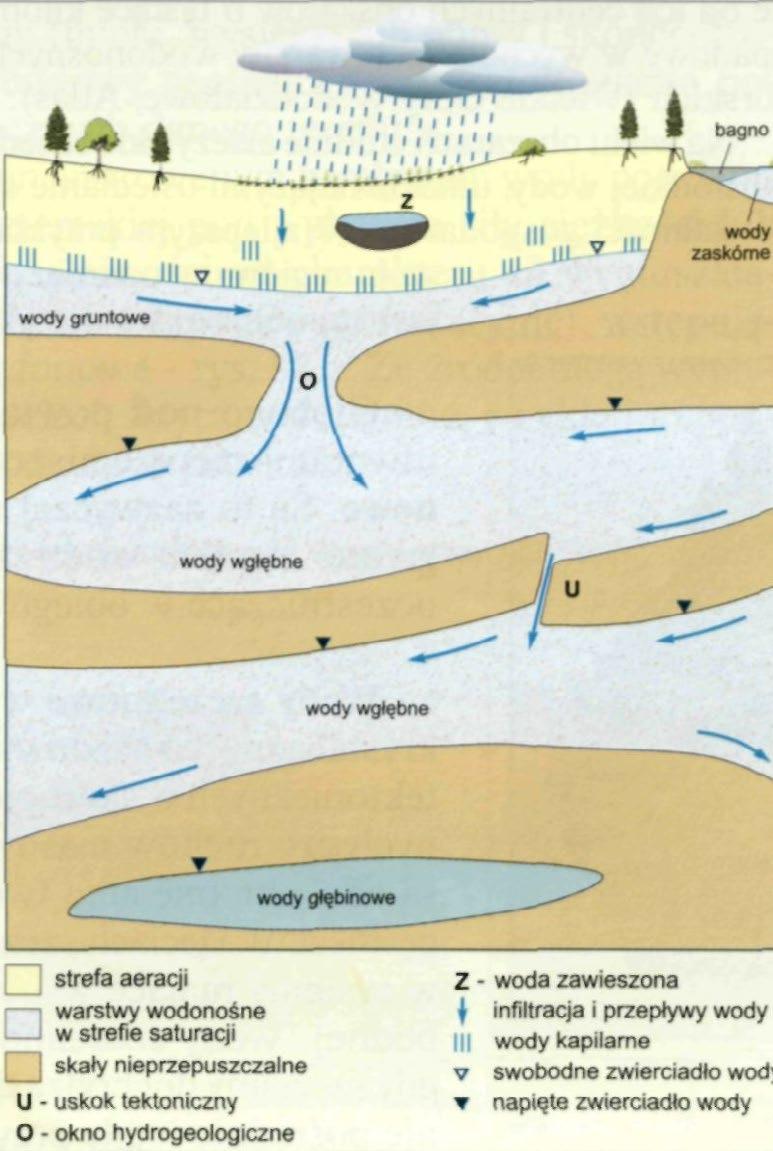 Wody podziemne reliktowe (zwane szczątkowymi lub dziewiczymi): są one najrzadziej spotykane na Ziemi, położone są one na znacznych