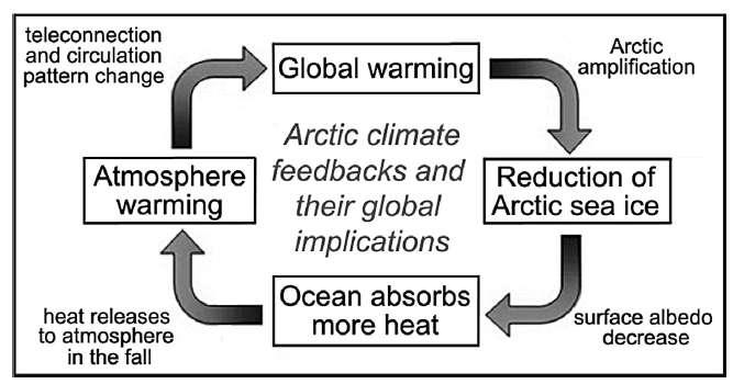 Sprawozdanie z ekspedycji badawczej AREX2016 r/v Oceania Założenia naukowe i zadania badawcze rejsu. Arktyka jest najbardziej podatnym na zmiany klimatyczne rejonem globu.