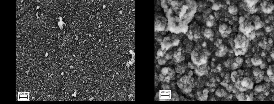 Rys. 62. Zdjęcia powierzchni elektrod z węgla szklistego modyfikowanych warstwami: (A) PyBA/PEDOT i (B) CNT/PyBA/PEDOT wykonane za pomocą skaningowego mikroskopu elektronowego. 7.3.1.