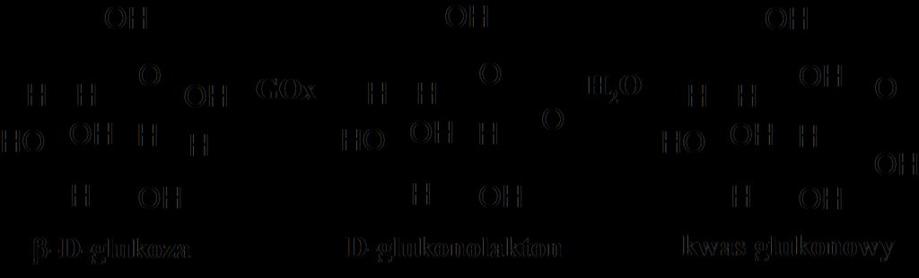 pierwszym etapie najpierw GOx katalizuję reakcję utleniania β-d-glukozy do D- glukonolaktonu, który następnie ulega hydrolizie do kwasu