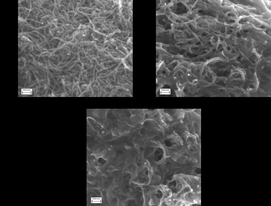 Rys. 58. Zdjęcia powierzchni elektrod z węgla szklistego modyfikowanych warstwami: (A) CNT/PyBA, (B) CNT/PyBA_GOx i (C) CNT/PyBA_GOx_NMP wykonane za pomocą skaningowego mikroskopu elektronowego. 7.2.