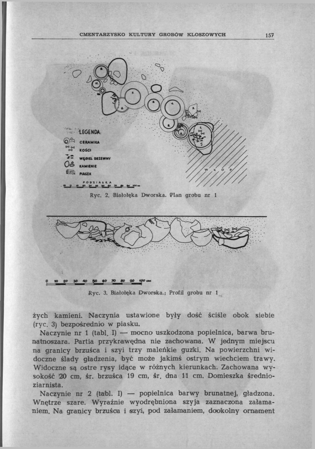 CMENTARZYSKO KULTURY GROBÓW KLOSZOWYCH 157 txjcxj 0< Ó& m 1EGENDA: CERAMIKA KOtCI wąeitlob2ewnv KAMIENIE nutt Ryc. 2. Białołęka Dworska. Plan grobu nr 1 o» ^» «je^w»»» y«ryc. 3. Białołęka Dworska.; Profil grobu nr 1 żych kamieni.