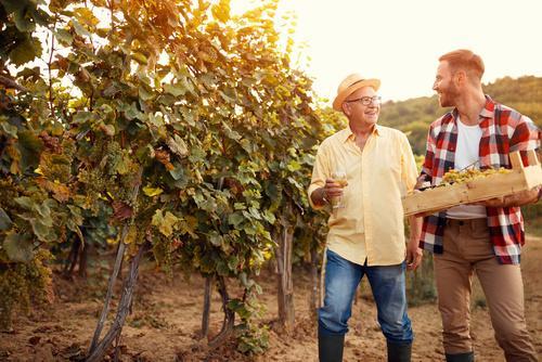 STRATEGIA ROZWOJU TURYSTYKI WINIARSKIEJ JAKO NOWEJ MARKI TURYSTYCZNEJ POGÓRZA IN VINO VERITAS