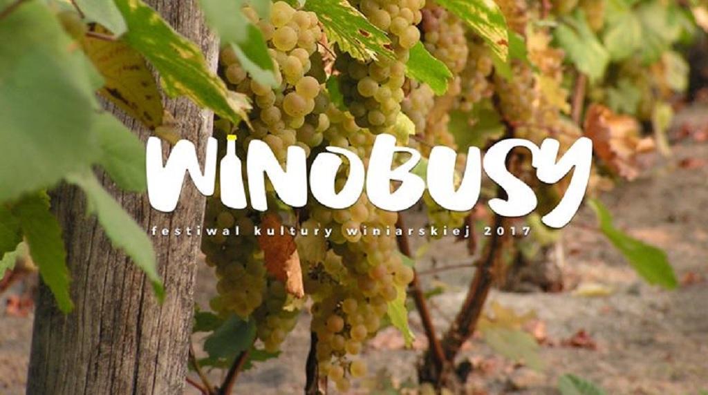Winiarze oprowadzają po winnicach, pokazują jak pielęgnować krzewy, wprowadzają w tematykę uprawy winorośli i produkcji wina, przeprowadzają degustacje swoich wyrobów.