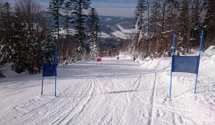 wszystkich lub kilku zawodników jednocześnie. Dowolna ilość kategorii np.