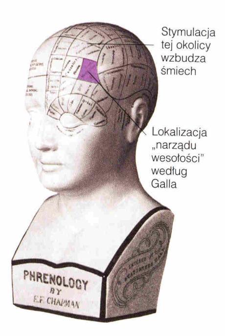 Poczucie humoru Strefa walki Siedlisko miłości Lokalizacja funkcji: niezwykle popularna