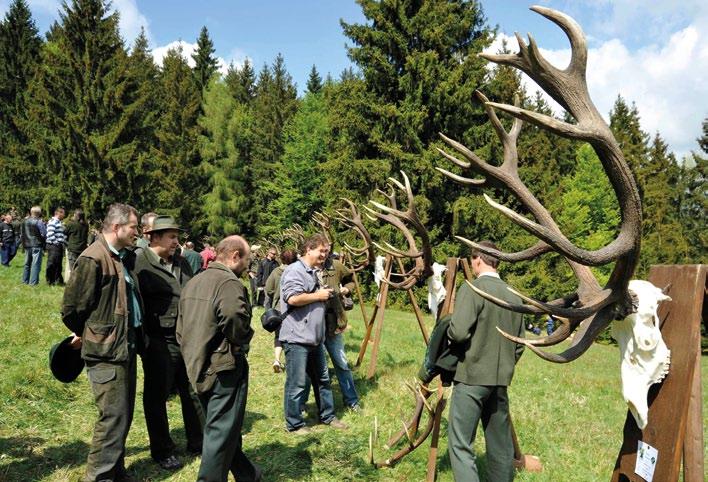 Súčasná výmera CHPO Poľana je 20 659 ha poľov. plochy, z toho 18 309 ha lesa a 2 350 ha poľa. Nachádza sa v Banskobystrickom kraji, v okresoch B. Bystrica, Brezno, Detva a Zvolen.