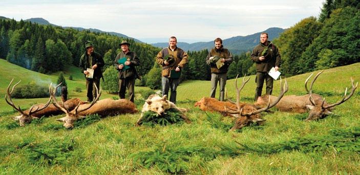 Kritériá selektívneho lovu jelenej zveri v CHPO Poľana upravené podľa vyhlášky 344/2009 Z.z.. Minimálne parametre parožia chovných jeleňov: Jelene zaradené do I. vekovej triedy.