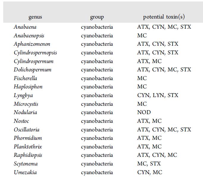 Lista sinic z potencjałem do produkcji różnych typów cyjanotoksyn rodzaj grupa potencjalne toksyny MC mikrocystyna ATX
