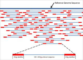 Mapowanie do genomu referencyjnego Genom