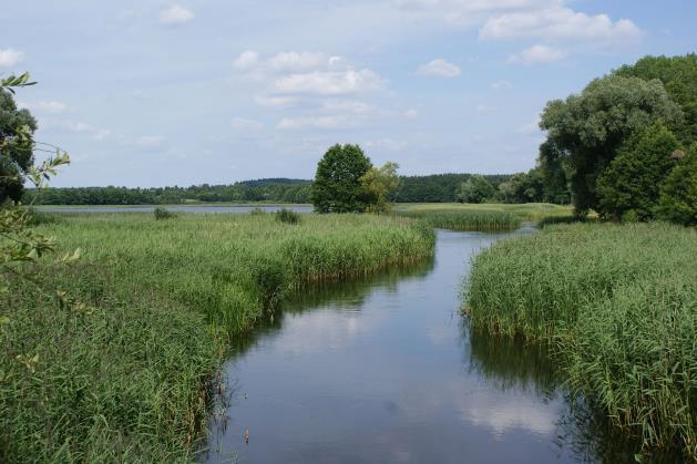 OPIS KONCEPCJI, BILANS TERENU Koncepcja Inspiracją dla koncepcji był naturalny krajobraz okolic Ełku i środowisko wodne.