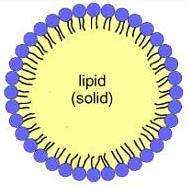 lipid API - dobrze tolerowane, - większa stabilność możliwość