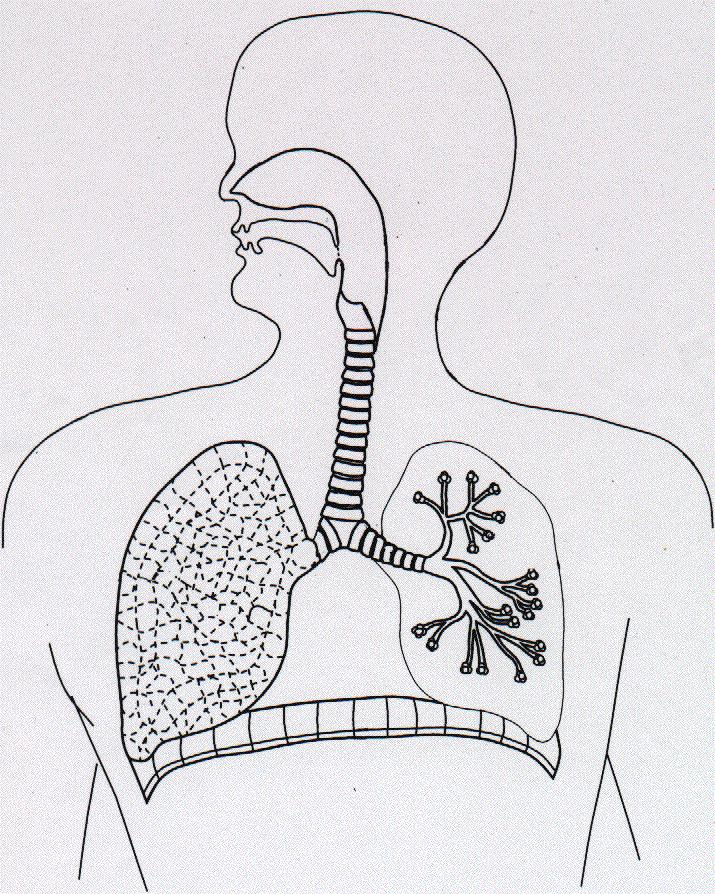 Preparaty do inhalacji depozycja płucna > 10 µm 10 µm