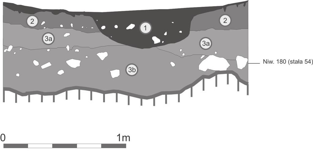 jaskini Fig. 4. North-west profile of trench 1/2011.