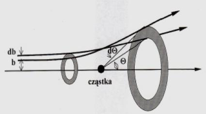 Część II Prowadzący: Część I: Prof.