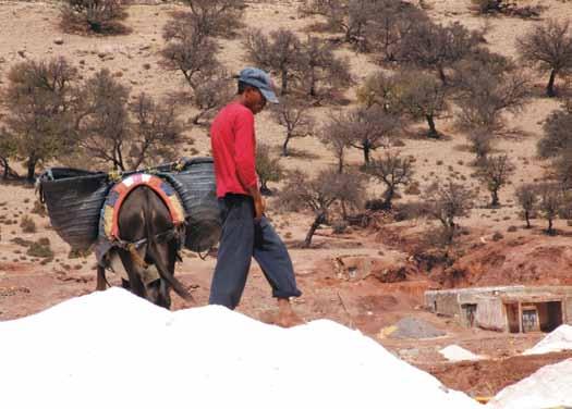 46 PRZEGLĄD GÓRNICZY 2017 Rys. 5. Transport soli z saliny przy słonym potoku, Maroko (Wyprawa PSGS 2012) Fig. 5. Transportation of salt from a salt stream salina in Morocco (2012 PSGS expedition) skich wypełnionych solonymi sardynkami.