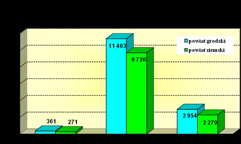 13. Profile pomocy dla osób bezrobotnych 4 Dane na temat osób bezrobotnych objętych profilem pomocy w 2017 roku kształtowały się następująco: TABELA 17.