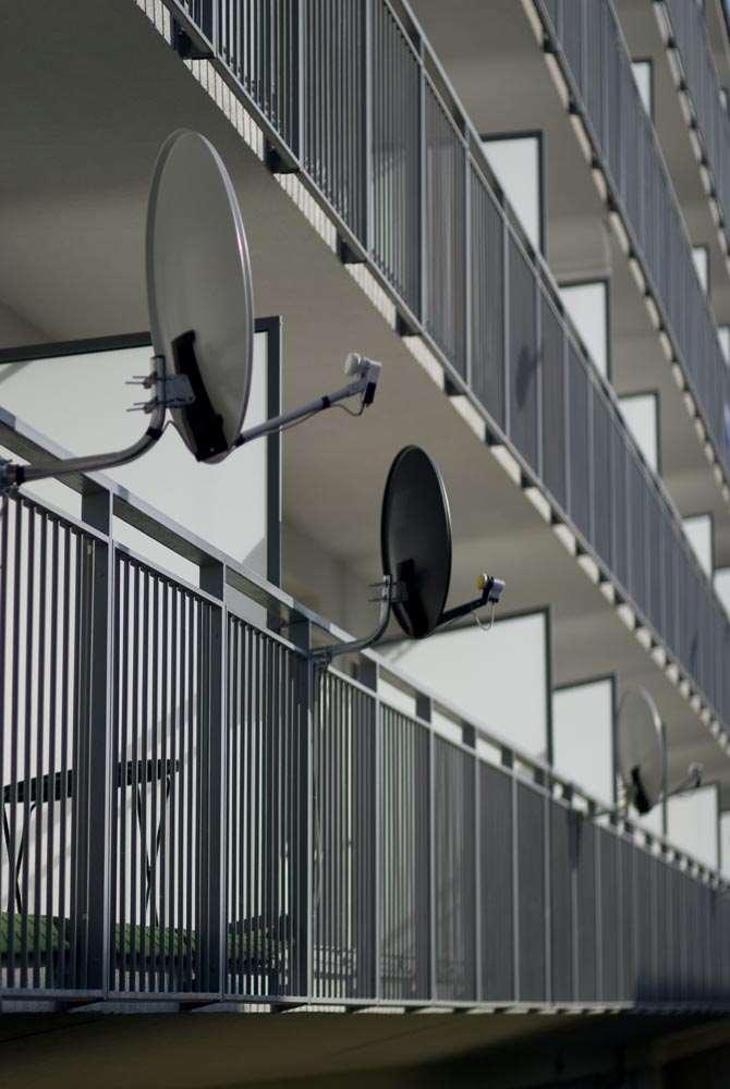 W architekturze linie