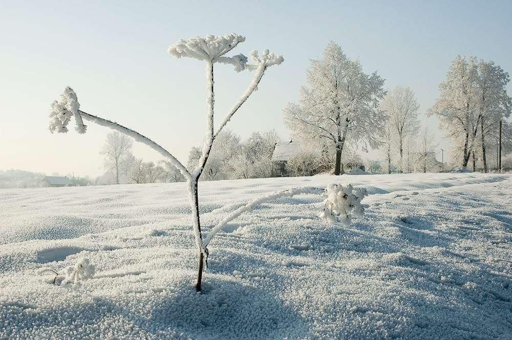 Faktury mogą być wiodącym