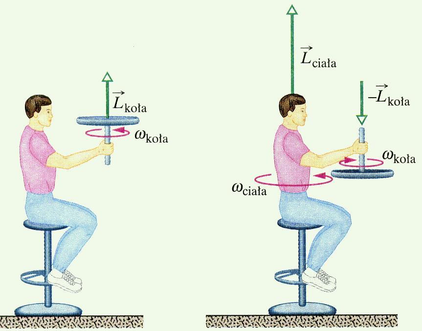 Prkład Na rsunku predstawiono studenta siedącego na stołku obrotowm. Student poostaje w spocnku, trmając w ręku koło rowerowe, które ma moment bewładności k =. kg m wględem swojej osi.