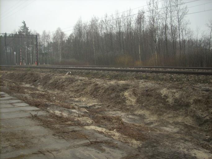 Wyniki modelowania stężeń ozonu troposferycznego wykazały, że w 2016 r. na terenie powiatu liczba dni z przekroczeniem wartości docelowej wyniosła 5-15.