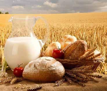 Rośliny zbożowe dostarczają przede wszystkim mąki, służącej m.in.: do wypieku pieczywa niezwykle ważnego składnika pożywienia wielu społeczeństw, do sporządzania potraw mącznych, do wyrobu kasz.