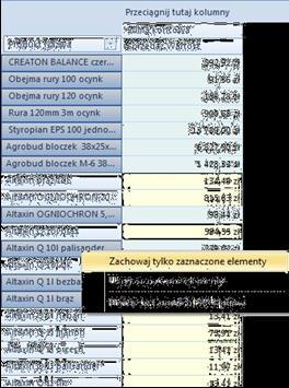 Rysunek 77 Filtrowanie ad-hoc Wybór TOP N elementów Funkcjonalność raportów pozwala w łatwy