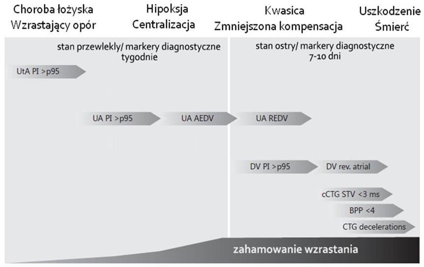 Progresja zmian i narzędzia diagnostyczne we wczesnym IUGR. Figueras and Gratacos.