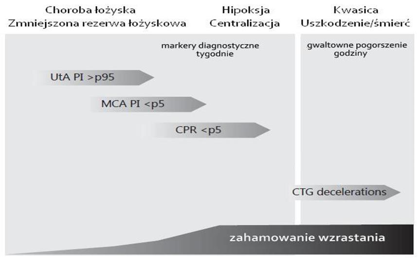 Progresja zmian i narzędzia diagnostyczne w późnym IUGR. Figueras and Gratacos.