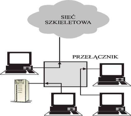 Poniższy rysunek przedstawia porównanie mostu i przełącznika. Rysunek 1.41. Porównanie mostu i przełącznika Źródło: K.