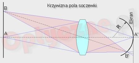 Krzywizna